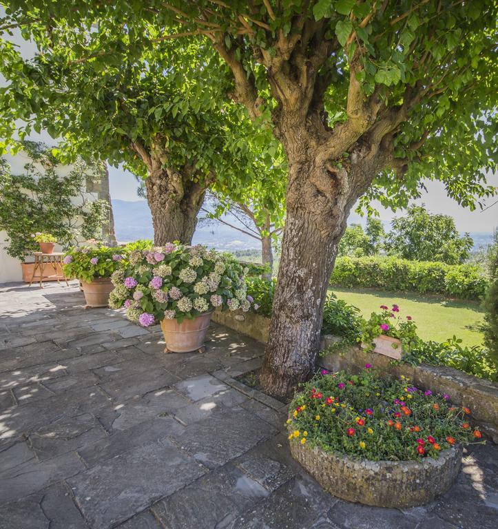 Apartamento Campopineta Incisa in Val d'Arno Exterior foto